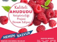 Ahududu fidanları Tarım A.Ş.’den