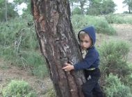 İYİ PARTİ “KİRAZLIYAYLA’DA Kİ ÇEVRE KATLİAMINA EL KOYUYORUZ”