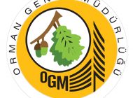 Afrika sıcakları başladı, orman yangınlarına dikkat