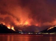 Yangınlardaki son durum açıklandı