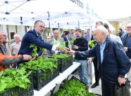 KESTEL BELEDİYESİ 6 BİN AHUDUDU FİDANI DAĞITTI